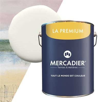 Peinture Mercadier - La Premium - Maison Levy - Nuage - 5 Litres