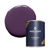 PEINTURE MERCADIER - "LA PREMIUM" - Prince