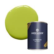 PEINTURE MERCADIER - "LA PREMIUM" - Romanesco