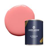 PEINTURE MERCADIER - "LA PREMIUM" - Roudoudou