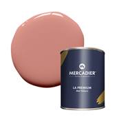 PEINTURE MERCADIER - "LA PREMIUM" - Tataouine