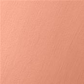 Badimat® - Couleur Paul - 20 kg - Badigeon de chaux - Pigments Poudre