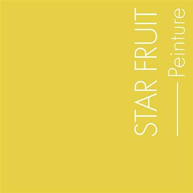 Peinture - "La Premium" - Star-Fruit - 5 Litres