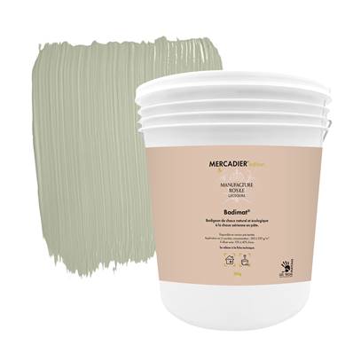 Badimat® - Couleur Vert de Gris - 20 Kg - Badigeon de chaux - Préteinté pâte pigmentaire