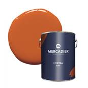 PEINTURE MERCADIER - "L'Extra" - Geronimo - 2,5 Litres