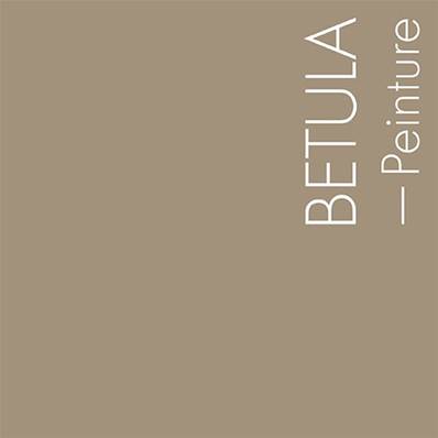 PEINTURE MERCADIER - "LA PREMIUM" - Betula