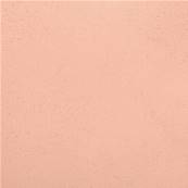 Marbrex® L - Couleur Fifre - 25 kg - Enduit de chaux - Pigments Poudre