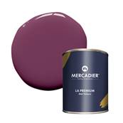 PEINTURE MERCADIER - "LA PREMIUM" - Velvet