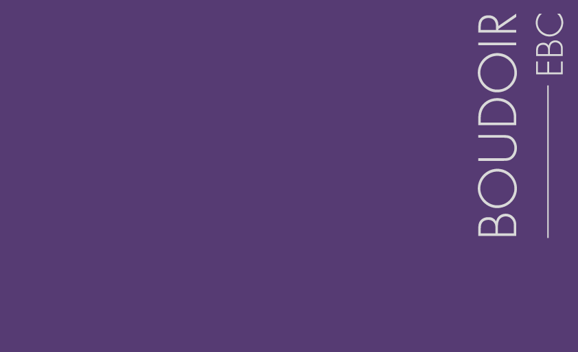 Couleur Boudoir : Un violet intense et lumineux  utiliser en touche ou  marier  une couleur chaude