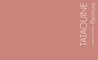 Couleur Tataouine : Terracota ros et minral, nuanc d